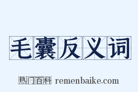 毛囊反义词是什么意思的图片